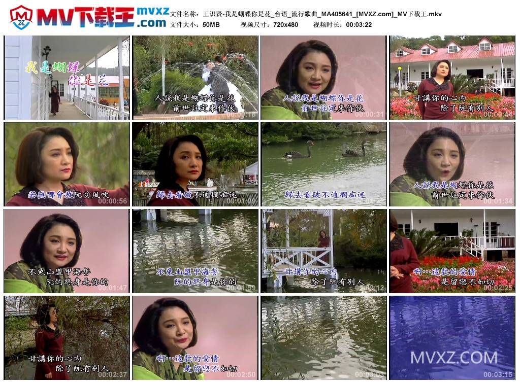 王识贤-我是蝴蝶你是花_台语_流行歌曲_MA405641